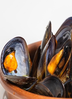 Mejillones